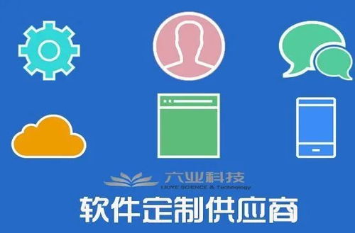 企業青睞定制開發 軟件定制熱度為何急劇上升？