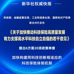 四部門聯(lián)合發(fā)力，以二十項舉措推動科技保險高質(zhì)量發(fā)展——信息技術(shù)咨詢服務(wù)迎來新契機